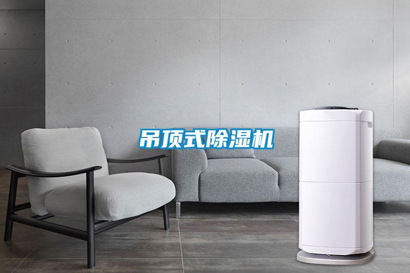 吊頂式91看片在线下载機