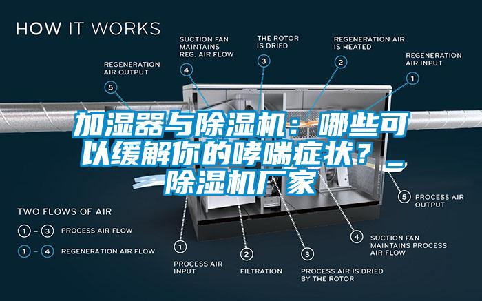 加濕器與91看片在线下载機：哪些可以緩解你的哮喘症狀？_91看片在线下载機廠家