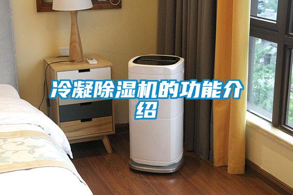 冷凝91看片在线下载機的功能介紹