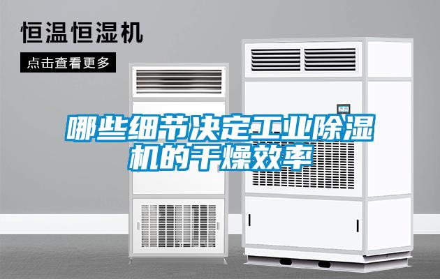 哪些細節決定工業91看片在线下载機的幹燥效率
