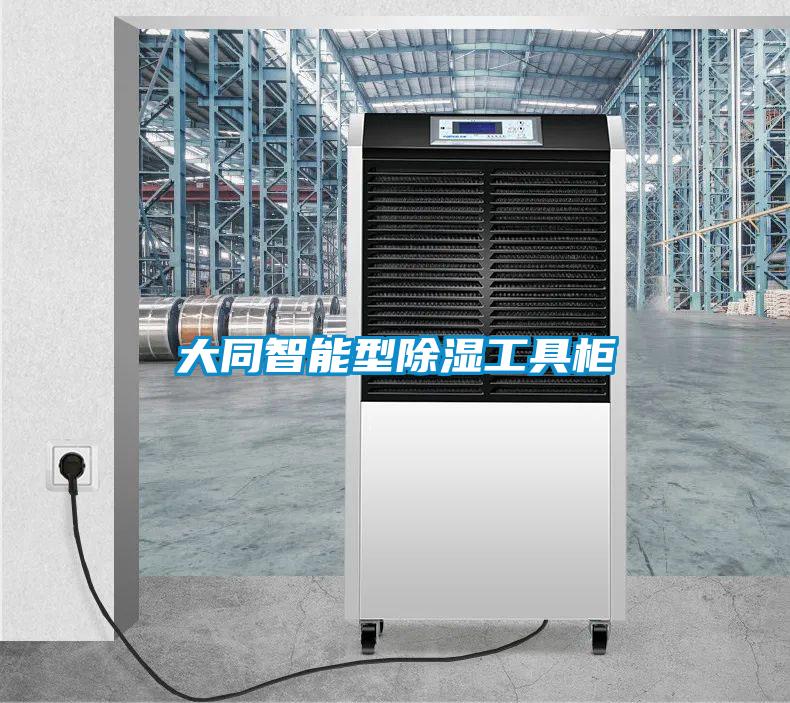 大同智能型91看片在线下载工具櫃