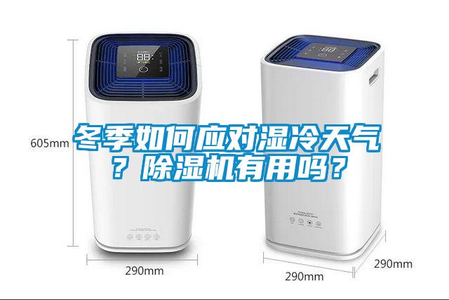 冬季如何應對濕冷天氣？91看片在线下载機有用嗎？