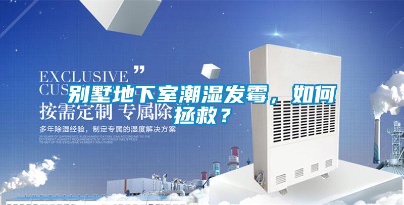 別墅地下室潮濕發黴，如何拯救？