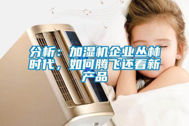 分析：加濕機企業叢林時代，如何騰飛還看新產品