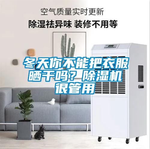 冬天你不能把衣服曬幹嗎？91看片在线下载機很管用