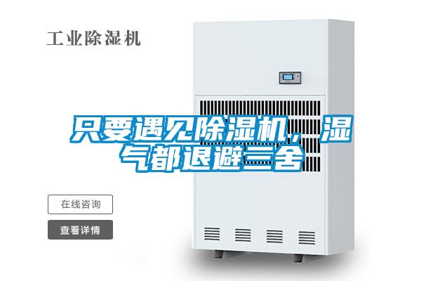 隻要遇見91看片在线下载機，濕氣都退避三舍