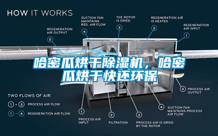 哈密瓜烘幹91看片在线下载機，哈密瓜烘幹快還環保