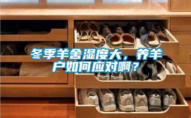 冬季羊舍濕度大，養羊戶如何應對啊？