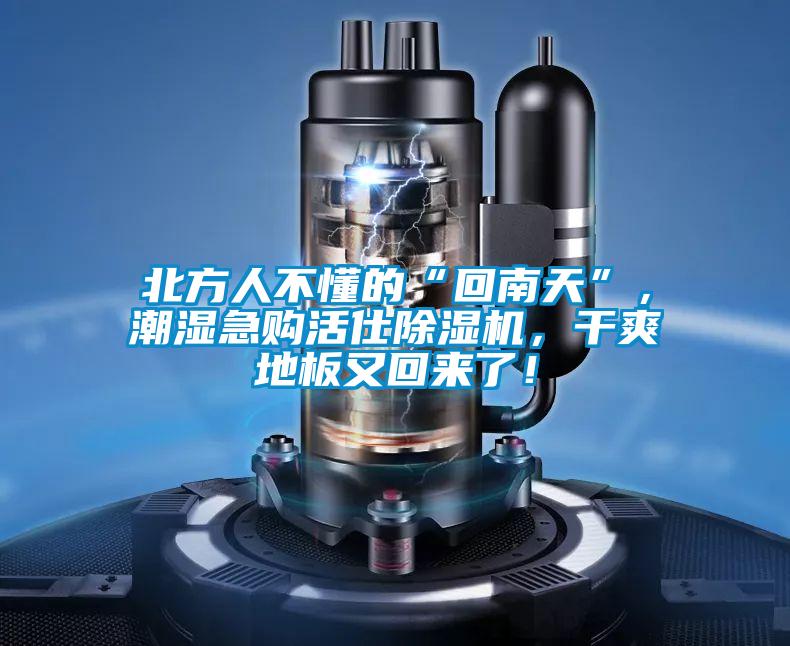 北方人不懂的“回南天”，潮濕急購活仕91看片在线下载機，幹爽地板又回來了！