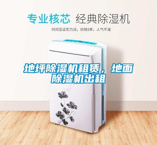 地坪91看片在线下载機租賃，地麵91看片在线下载機出租