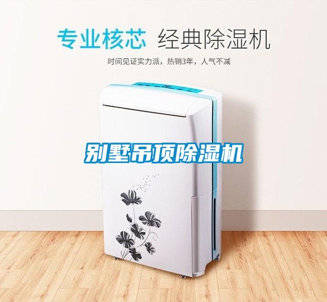 別墅吊頂91看片在线下载機