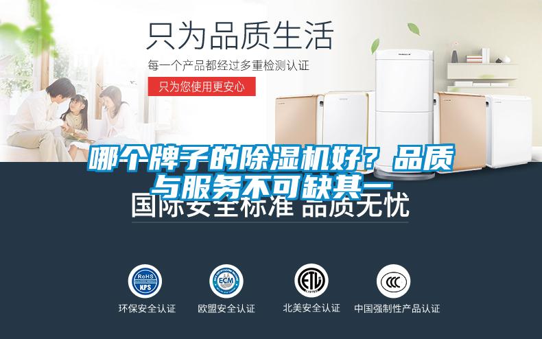 哪個牌子的91看片在线下载機好？品質與服務不可缺其一