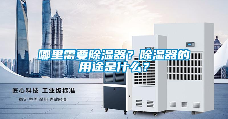 哪裏需要91看片在线下载器？91看片在线下载器的用途是什麽？