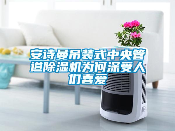 91免费看片APP吊裝式中央管道91看片在线下载機為何深受人們喜愛