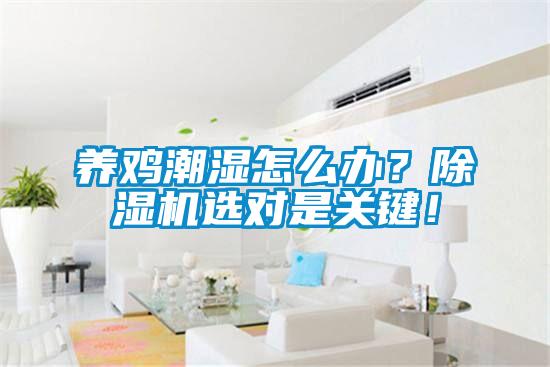 養雞潮濕怎麽辦？91看片在线下载機選對是關鍵！