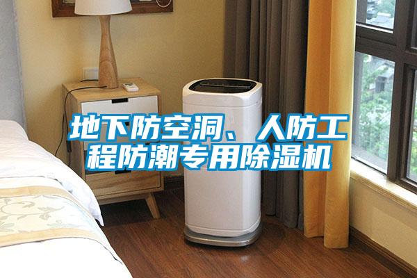 地下防空洞、人防工程防潮專用91看片在线下载機