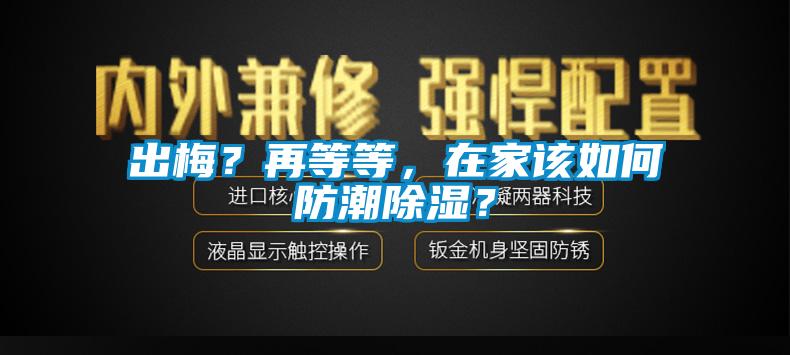 出梅？再等等，在家該如何防潮91看片在线下载？