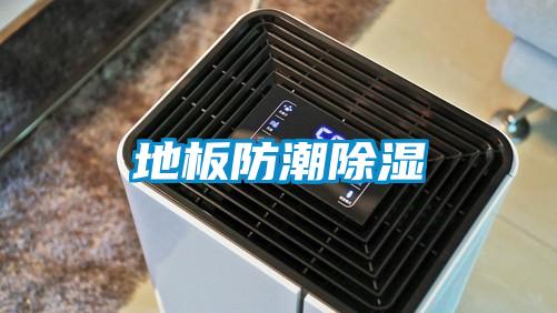 地板防潮91看片在线下载