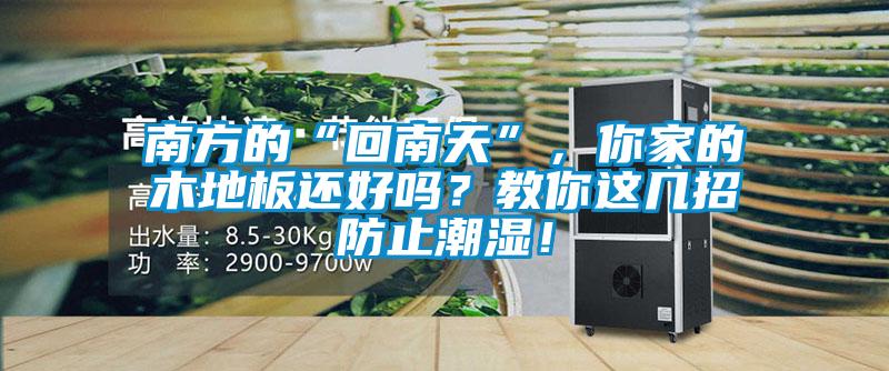 南方的“回南天”，你家的木地板還好嗎？教你這幾招防止潮濕！