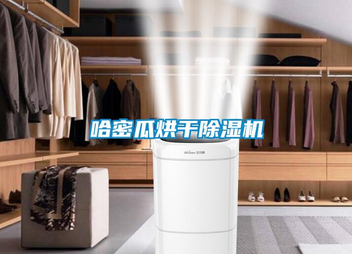 哈密瓜烘幹91看片在线下载機