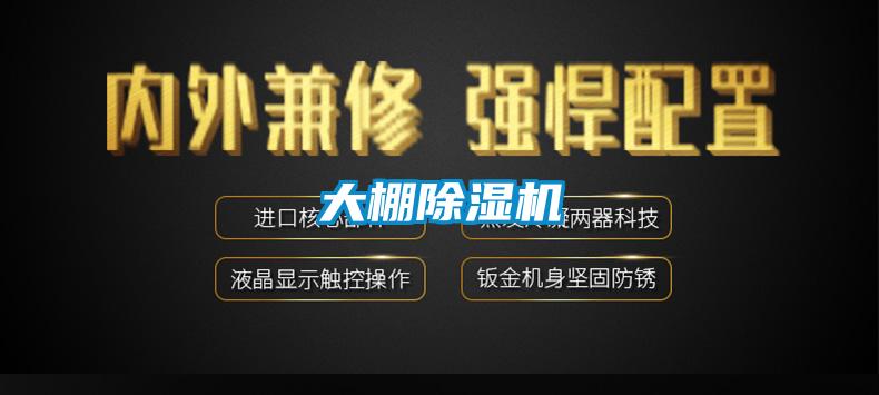 大棚91看片在线下载機