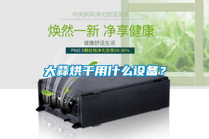 大蒜烘幹用什麽設備？