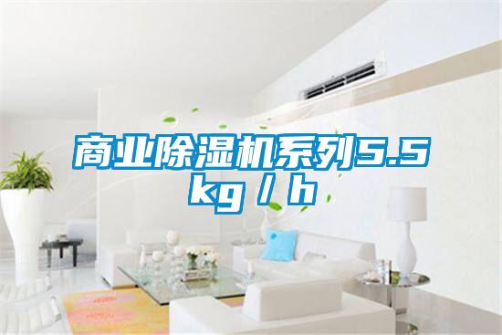 商業91看片在线下载機係列5.5kg／h