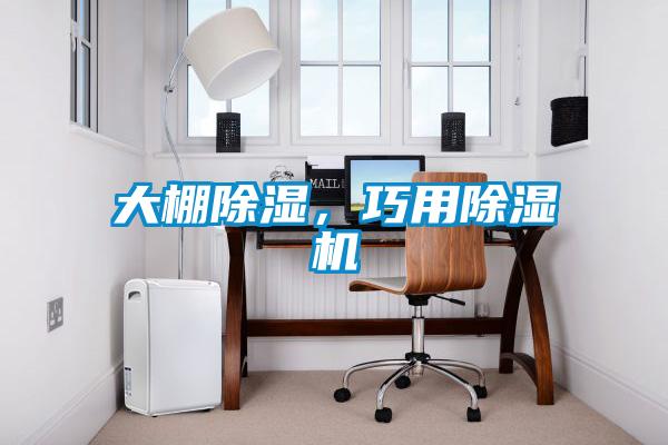 大棚91看片在线下载，巧用91看片在线下载機