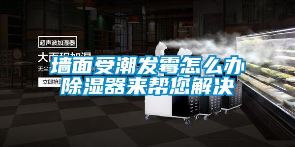 牆麵受潮發黴怎麽辦91看片在线下载器來幫您解決