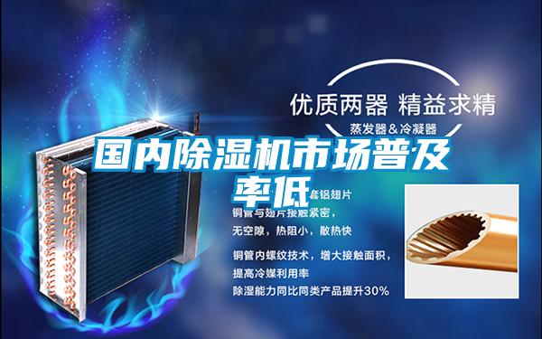 國內91看片在线下载機市場普及率低