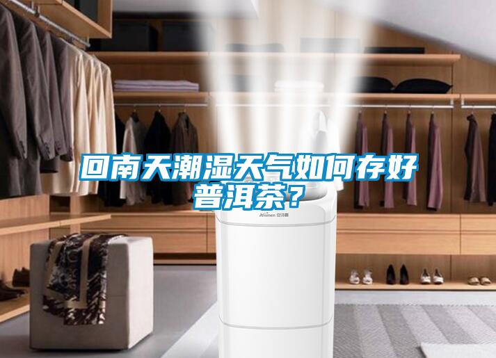 回南天潮濕天氣如何存好普洱茶？