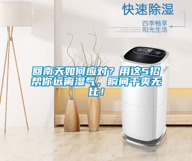 回南天如何應對？用這5招幫你遠離濕氣，瞬間幹爽無比！
