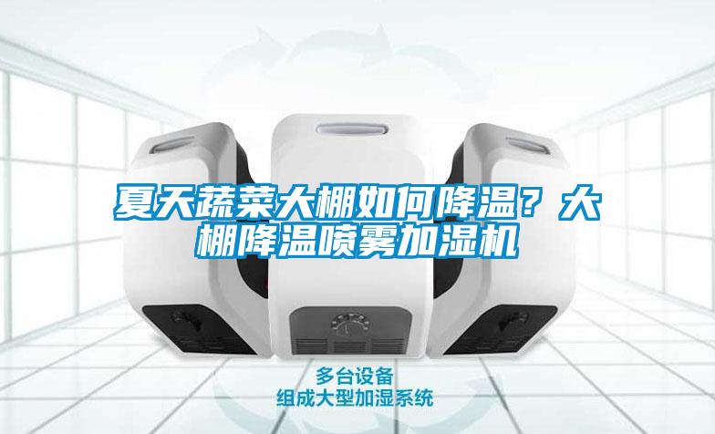 夏天蔬菜大棚如何降溫？大棚降溫噴霧加濕機