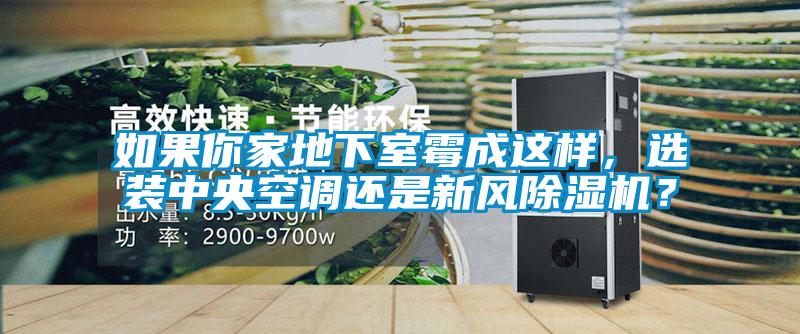 如果你家地下室黴成這樣，選裝中央空調還是新風91看片在线下载機？