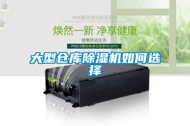 大型倉庫91看片在线下载機如何選擇