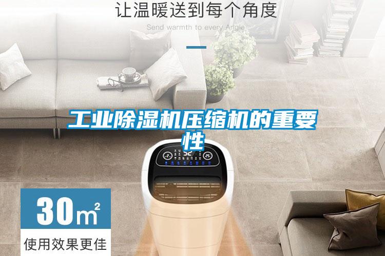 工業91看片在线下载機壓縮機的重要性