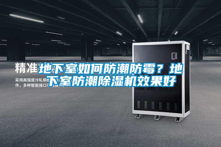 地下室如何防潮防黴？地下室防潮91看片在线下载機效果好