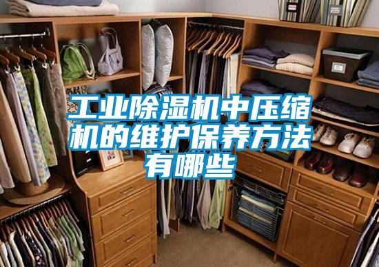工業91看片在线下载機中壓縮機的維護保養方法有哪些