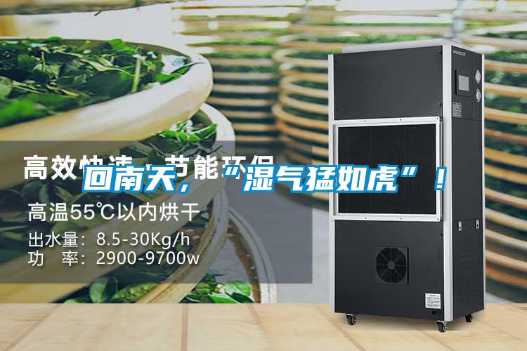 回南天，“濕氣猛如虎”！