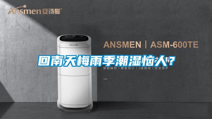 回南天梅雨季潮濕惱人？
