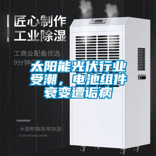 太陽能光伏行業受潮，電池組件衰變遭詬病