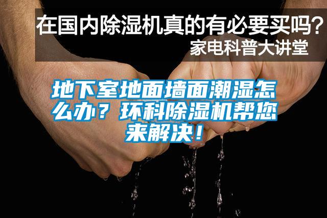 地下室地麵牆麵潮濕怎麽辦？環科91看片在线下载機幫您來解決！