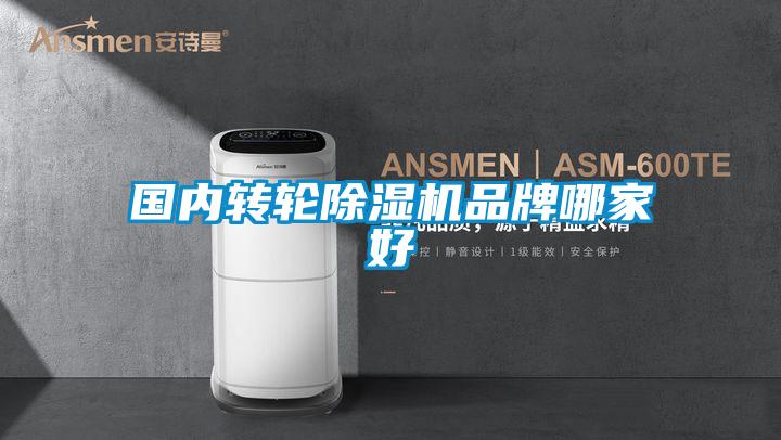 國內轉輪91看片在线下载機品牌哪家好