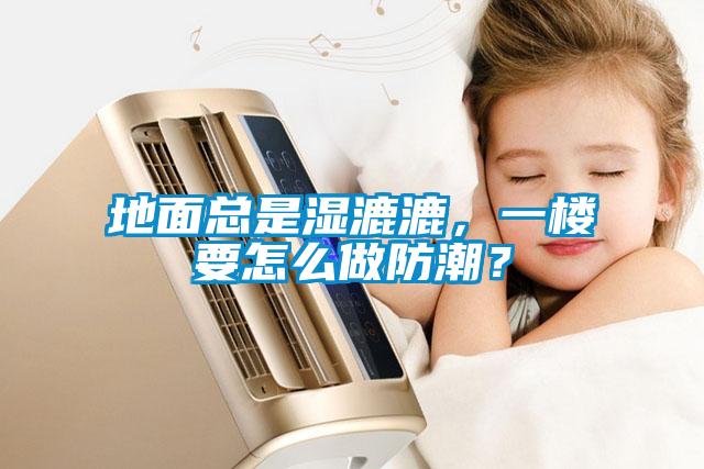 地麵總是濕漉漉，一樓要怎麽做防潮？