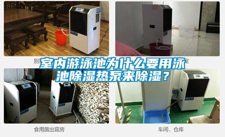 室內遊泳池為什麽要用泳池91看片在线下载熱泵來91看片在线下载?