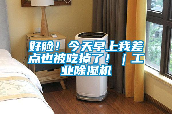 好險！今天早上我差點也被吃掉了！｜工業91看片在线下载機