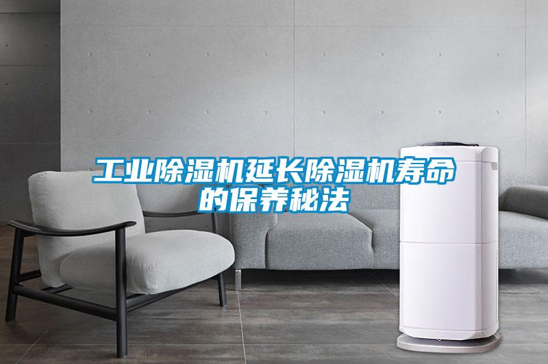 工業91看片在线下载機延長91看片在线下载機壽命的保養秘法