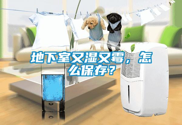地下室又濕又黴，怎麽保存？