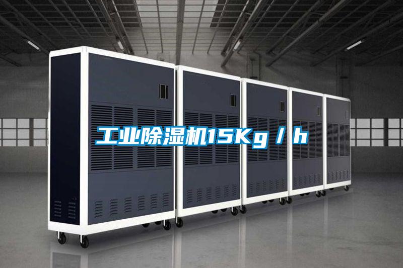 工業91看片在线下载機15Kg／h