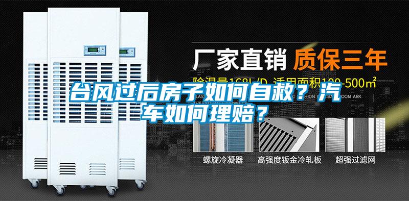 台風過後房子如何自救？汽車如何理賠？